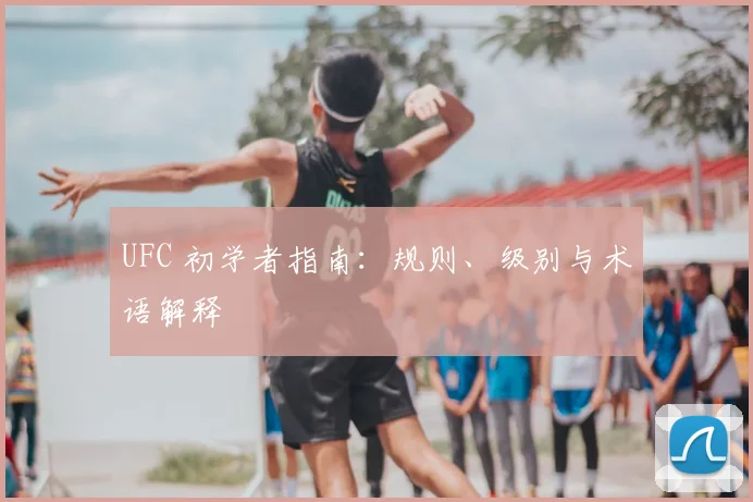 UFC 初学者指南:规则、级别与术语解释
