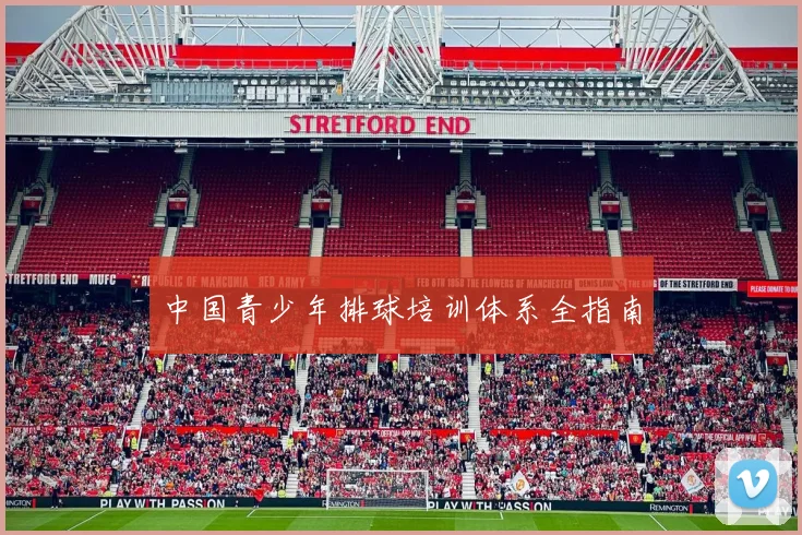 中国青少年排球培训体系全指南